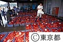 下田市場でのキンメダイのセリ