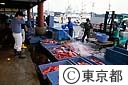 下田港に荷上げされたキンメダイ