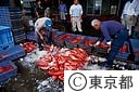 市場でのキンメダイの選別