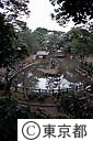 区立鍋島松濤公園