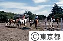 馬事公苑