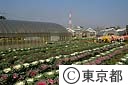 農業試験場江戸川分場