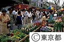 植木市「お富士さん」