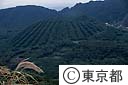 外輪山北部「丸山」
