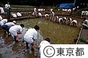 野山北公園の田植え