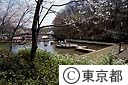 野山北公園