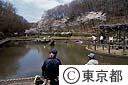 野山北公園