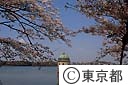 多摩湖