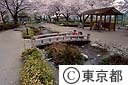 根川緑道