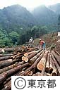 奥多摩の林業