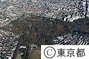 井の頭恩賜公園（空撮）
