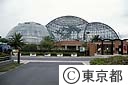 夢の島熱帯植物館