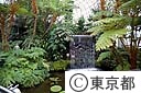 夢の島熱帯植物館