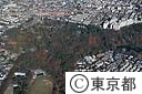 井の頭自然文化園（空撮）