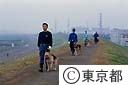 警察犬とのふれあい