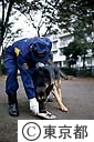 警察犬に臭いを嗅がせる