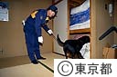 警察犬の麻薬捜査訓練