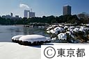雪の浜離宮庭園