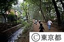 玉川上水、寺橋～たかのはし間、ロマンス通り