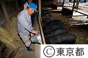ブランド豚ＴＯＫＹＯ　Ｘを飼育する養豚家