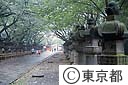 上野東照宮の参道