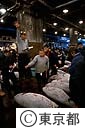 築地中央卸売市場（マグロのセリ）