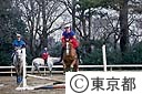 警視庁騎馬隊の乗馬訓練