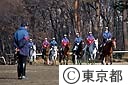 警視庁騎馬隊の乗馬訓練