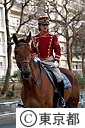警視庁騎馬隊による交通整理