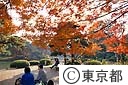 六義園の紅葉