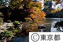 紅葉（後楽園）