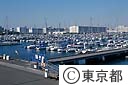 都立夢の島ヨットハーバー