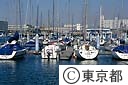都立夢の島ヨットハーバー