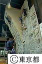多摩スポーツ会館、スポーツクライミング