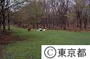 野川公園