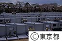 多磨霊園カベ墓地