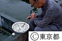 金魚の稚魚の選別作業