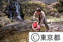 ヤマメの稚魚放流（浅川）