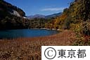 奥多摩湖の紅葉