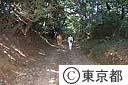 絹の道