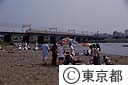 多摩川（和泉）