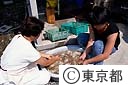 山染紡　かりとった羊毛の洗毛をする（草木染）