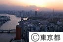 聖路加タワーより隅田川を望む