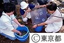 山染紬（草木染）