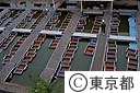 淡水魚養殖漁業協同組合の池金魚の活舟