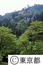 新緑の御岳山御師集落