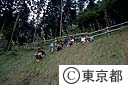 夕やけ小やけ文化農園