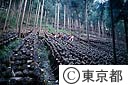 東京多摩学園（しいたけ栽培）