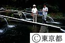 東京都水産試験場奥多摩分場