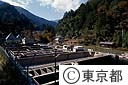 東京都水産試験場奥多摩分場